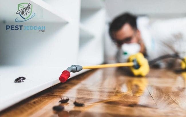 كيفية علاج بق الفراش نهائياً
