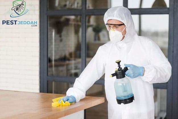 شركة مكافحة حشرات مرخصة
