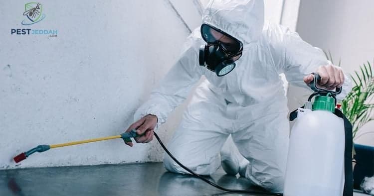 كيفية اختيار شركة مكافحة موثوقة